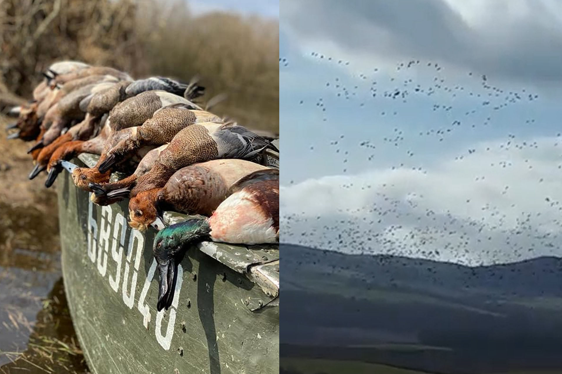 caccia ad anatre ed oche in scozia sassetti country sports